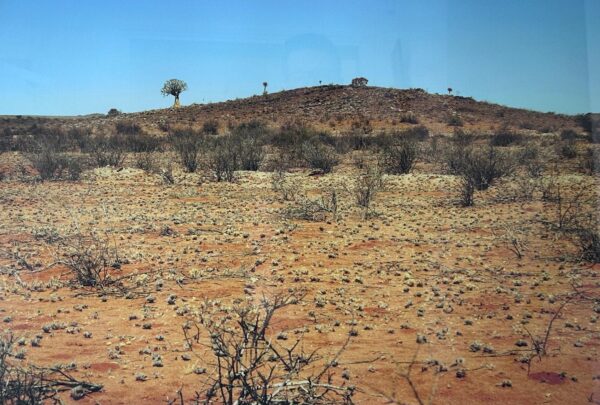 Near Upington