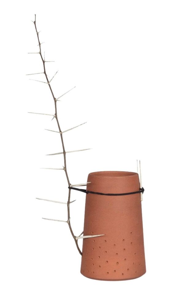 Thorn in my side