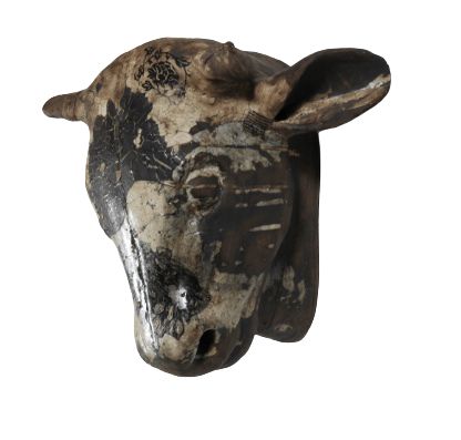 CATTLE HEAD C194
