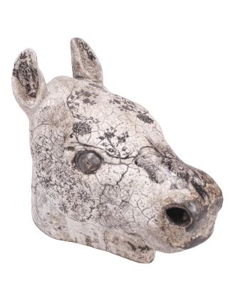 FYNBOS HORSE HEAD 2012 C308