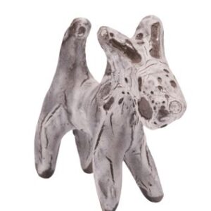 CANINE PUPPY C241