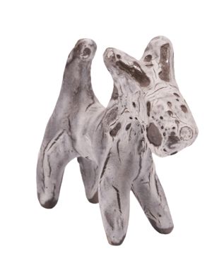 CANINE PUPPY C241
