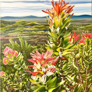 Grootbos View