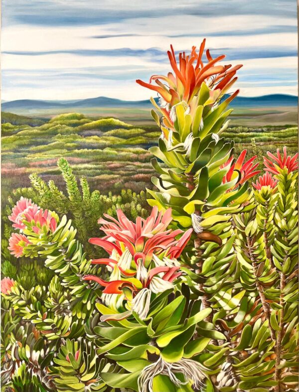 Grootbos View